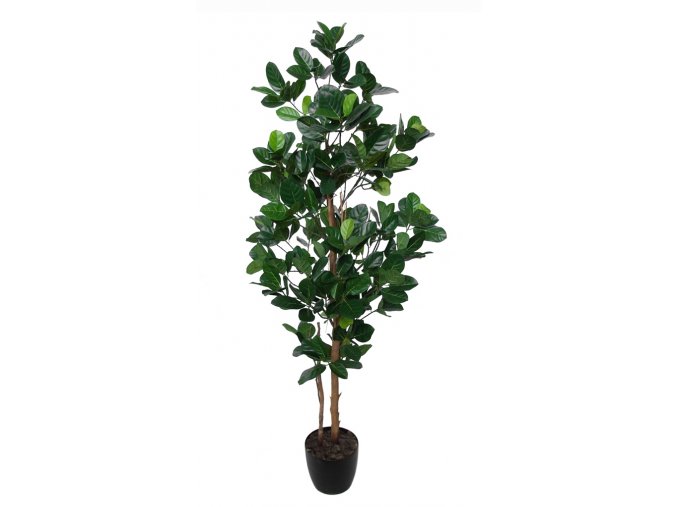 Jackfruit Tree 170 cm Green V5443004