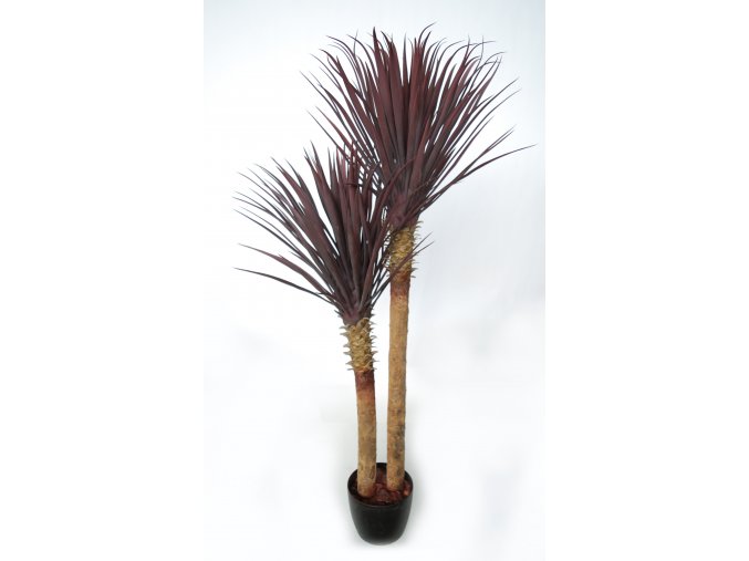 Yucca Linearis Set x 2 160 cm Burgundy 4232B04