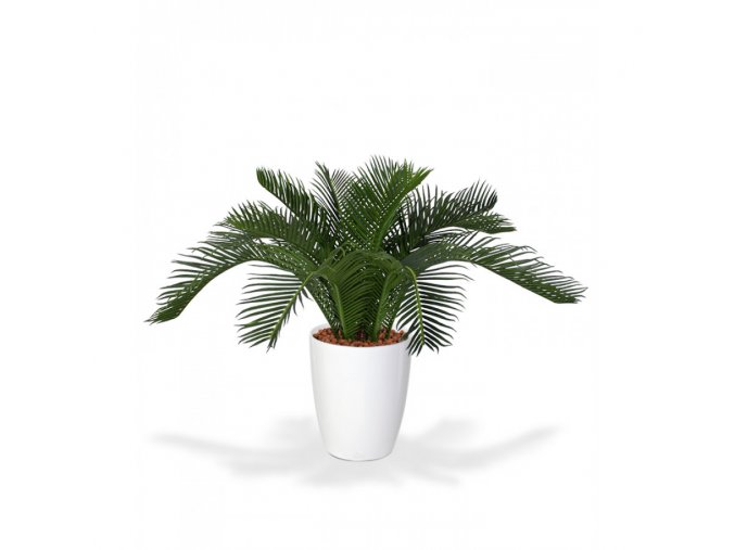 26901 umela palma cycas baby 30cm