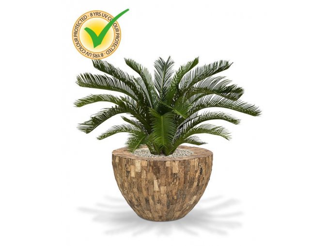 180108uv cycas palm deluxe 80 cemani wood bowl