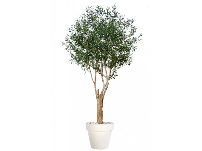 Umělý strom Olive Riviera (Varianta 200cm)