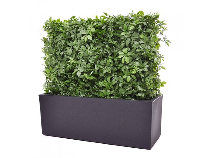 130206uv schefflera heg cassa essential antraciet 80x30x30