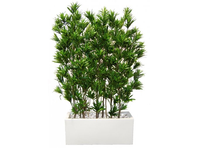 Umelý strom Dracaena Reflexa Fence (180cm) (Barva listů vícebarevná (Vario))