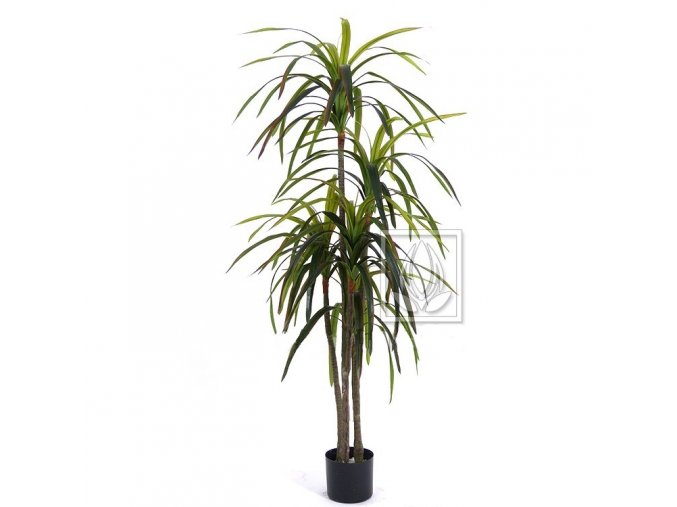 10570 1 umela rostlina dracena 155cm