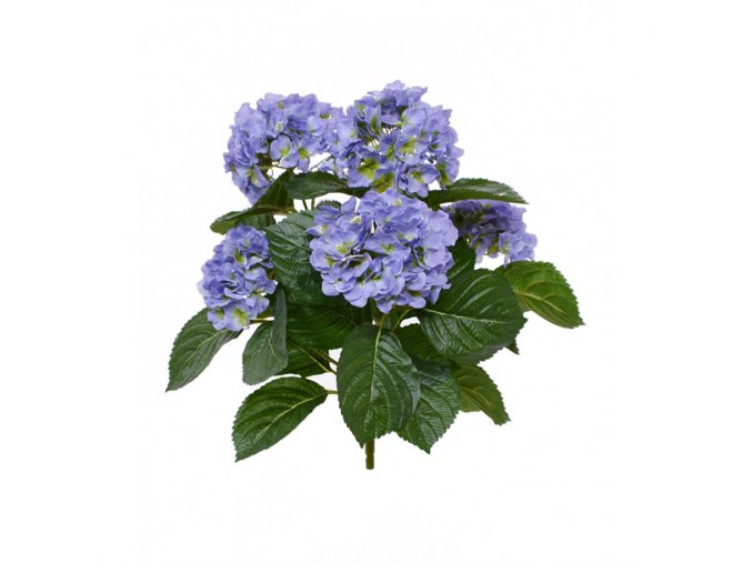 407703bl hortensia boeket 40 blauw