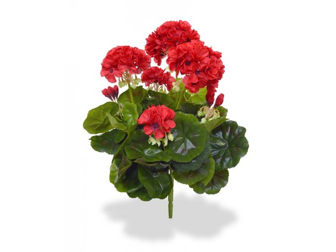 407404rd geranium boeket 40 rood