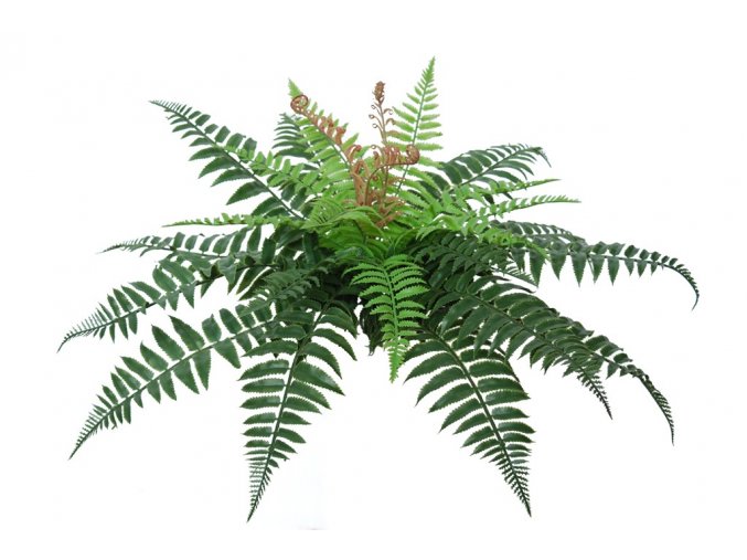 Fern Forest 30 cm Green 5479GRN