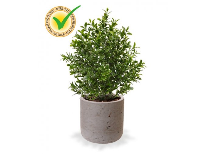 138103pp10uv buxus 25 keramiek pot