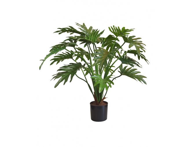 30023 umela rostlina philodendron xanadu 65cm