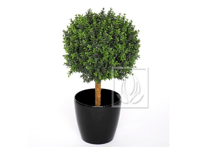 11191 umely strom buxus koule na kmeni 55 35cm