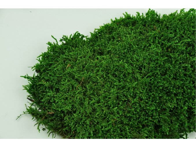 Flat moss green detial2