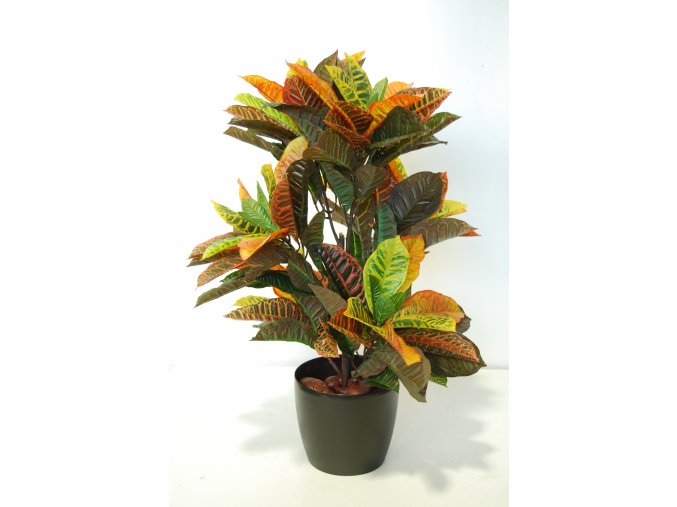 Croton Bush 80 cm Multicolor 5507002