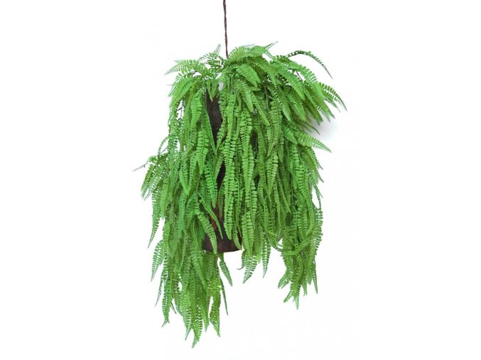 Hanging Fern Fabulosa 80 cm Green 5577000