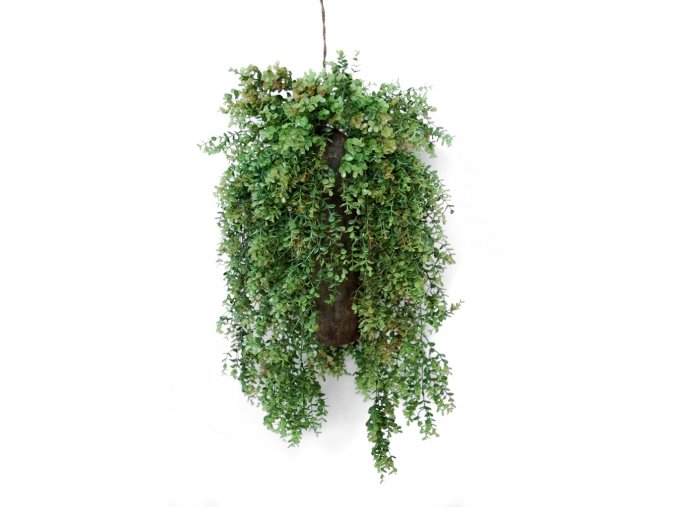 Hanging Boxwood 80 cm Green 5564000