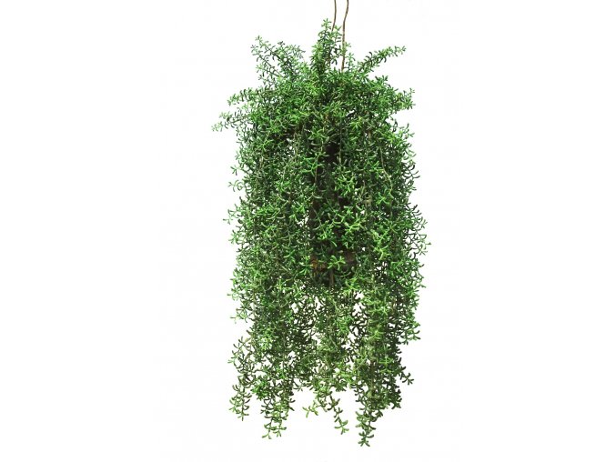 Hanging Senecio 70 cm Green 5605001