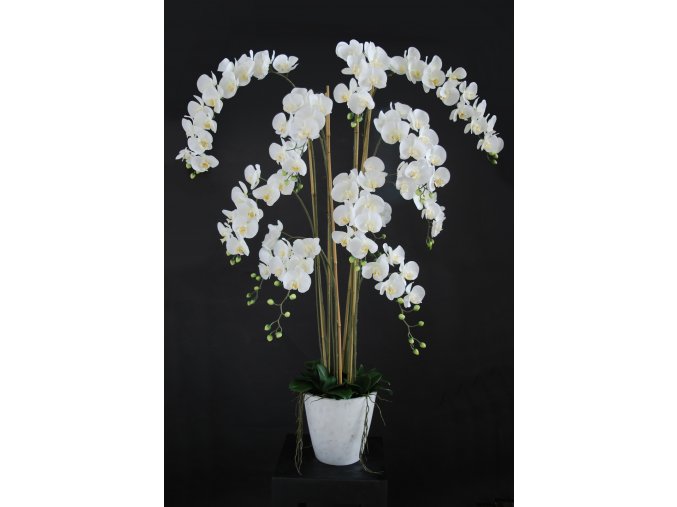 Orchid Phalaenopsis Fiber Pot 160 cm White 5683WHT