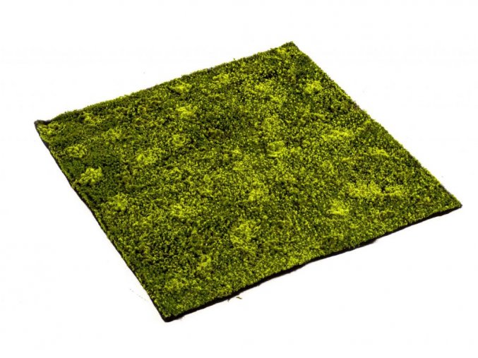 Mach umelý Moss Base X (100x100cm)