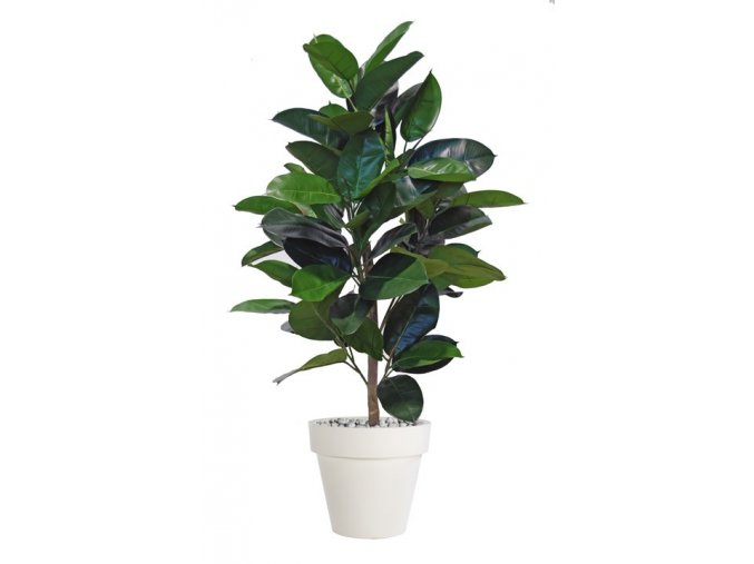 ficus elastica plant 120 cm green 5426002