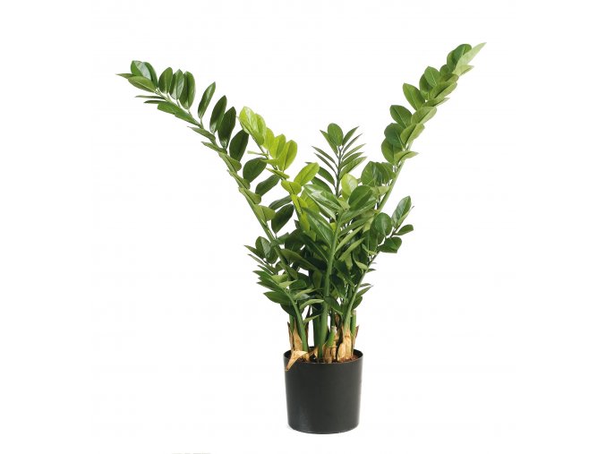 Umelá rastlina Zamioculcas (90cm)