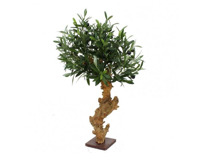 135006 olijfbonsai 60cm