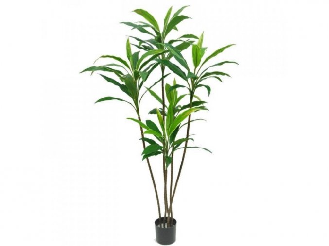Umelá rastlina Dracena Fragrans (170cm)