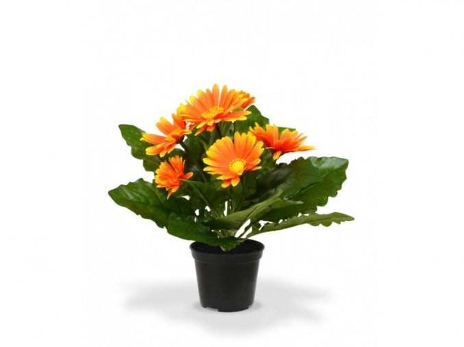 Umelá rastlina Gerbera v kvetináči (30cm) - oranžová