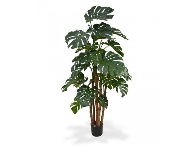 Umělá rastlina Monstera DeLuxe (180cm)