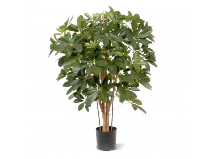 Schefflera 80 cm kunstplant 130109 1