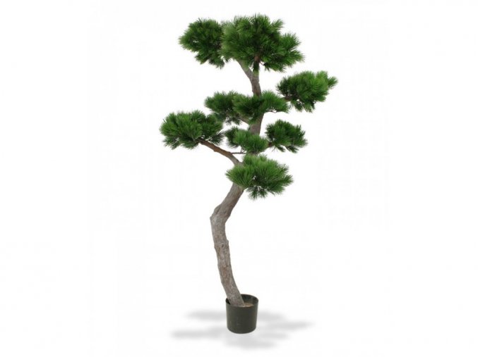 Umelý strom Pinie Bonsaj XL (200cm) - UV