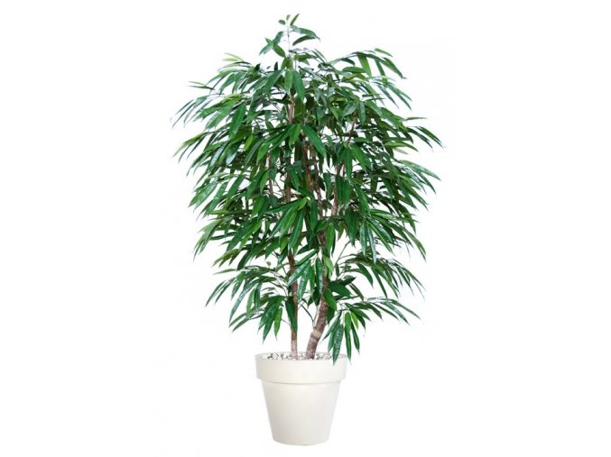 Umělý strom Longifolia Natural Style (výška 180cm)