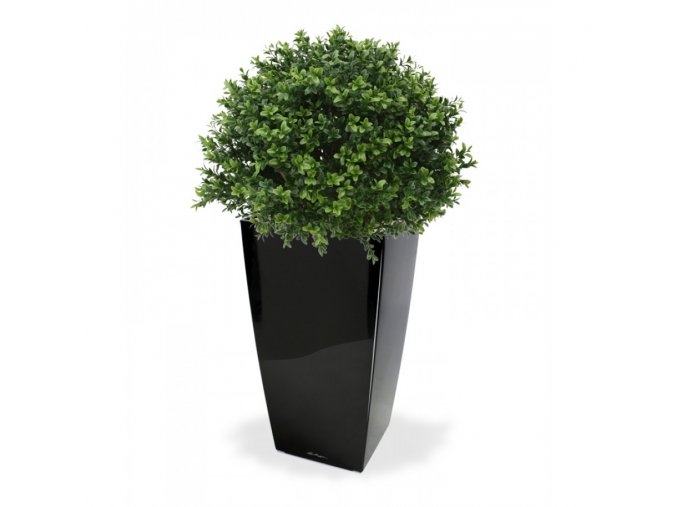 Boxwood Ball 40cm