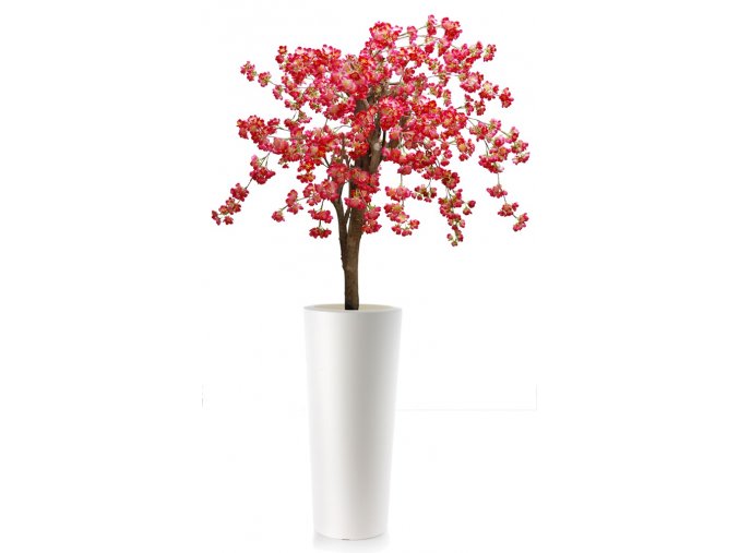 Cherry wild Tree 160 cm Pink V1084P03