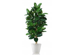 Ficus Elastica Tree 170 cm Green V5426016