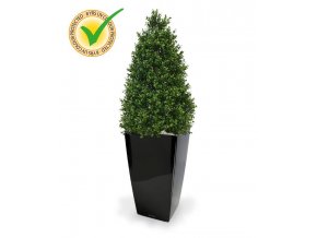 138511uv buxus tower 110 cubico 30 zwart 1