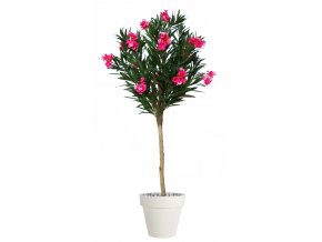 Oleander Globe 200 cm Pink V10779001
