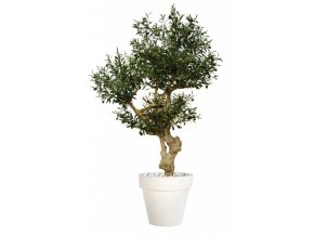 Umělý strom Olive Crown (Varianta 210cm, včetně květináče)