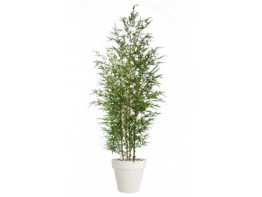 Bamboo Bush 240 cm Green 5488001