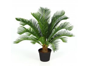 Cycas Plant w pot 40 cm Green 5643GRN