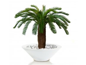 Cycas Palm 160 cm Green V5405GRN