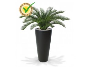 180106uv cycas palm deluxe 60 tondo 70 antraciet