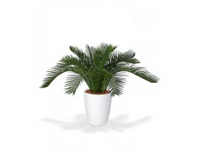 26901 umela palma cycas baby 30cm