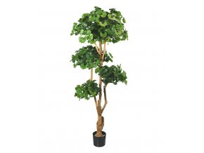 29984 umela bonsai ginkgo 170cm