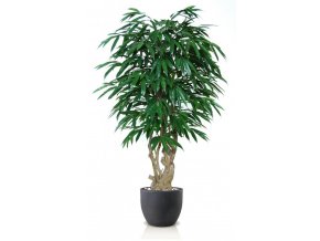 Umělý strom Longifolia Malabar (Varianta 150cm)