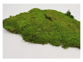 Flat moss Rock 1