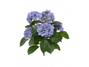 407703bl hortensia boeket 40 blauw