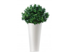 33961 buxus uvr bush 70 cm green 23102uvr