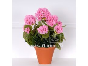 Pelargonie 35cm ruzova