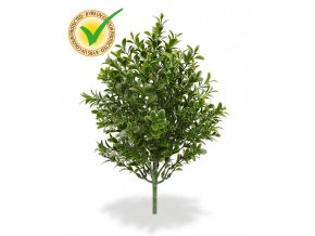 138103uv buxus boeket 25