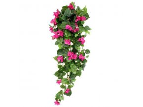 207410 bougainvillea hangplant 100cm paars