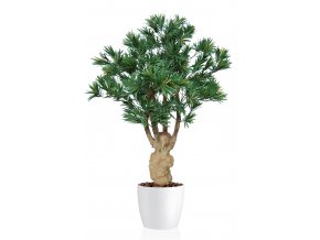 Podocarpus Crown Mini 110 cm Green 1093016